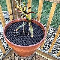 Vista 9 de Curtis Wagner Plastics Plant Guard - Protector de plantas de 12 pulgadas de diámetro, paquete de 2 Protector de plantas de gatos y animales