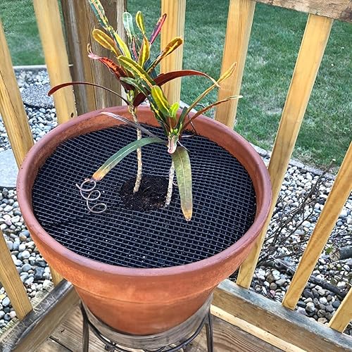 Miniatura 9 de Curtis Wagner Plastics Plant Guard - Protector de plantas de 16 pulgadas de diámetro, paquete de 2  Protector de plantas de gatos y animales