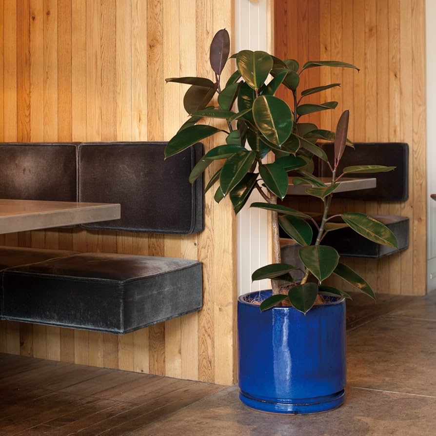 ヴィトロ　エンデカ　9号　受け皿付き　鉢 楽天市場】ヴィトロ エンデカ 9号 受け皿付き ≪おしゃれな