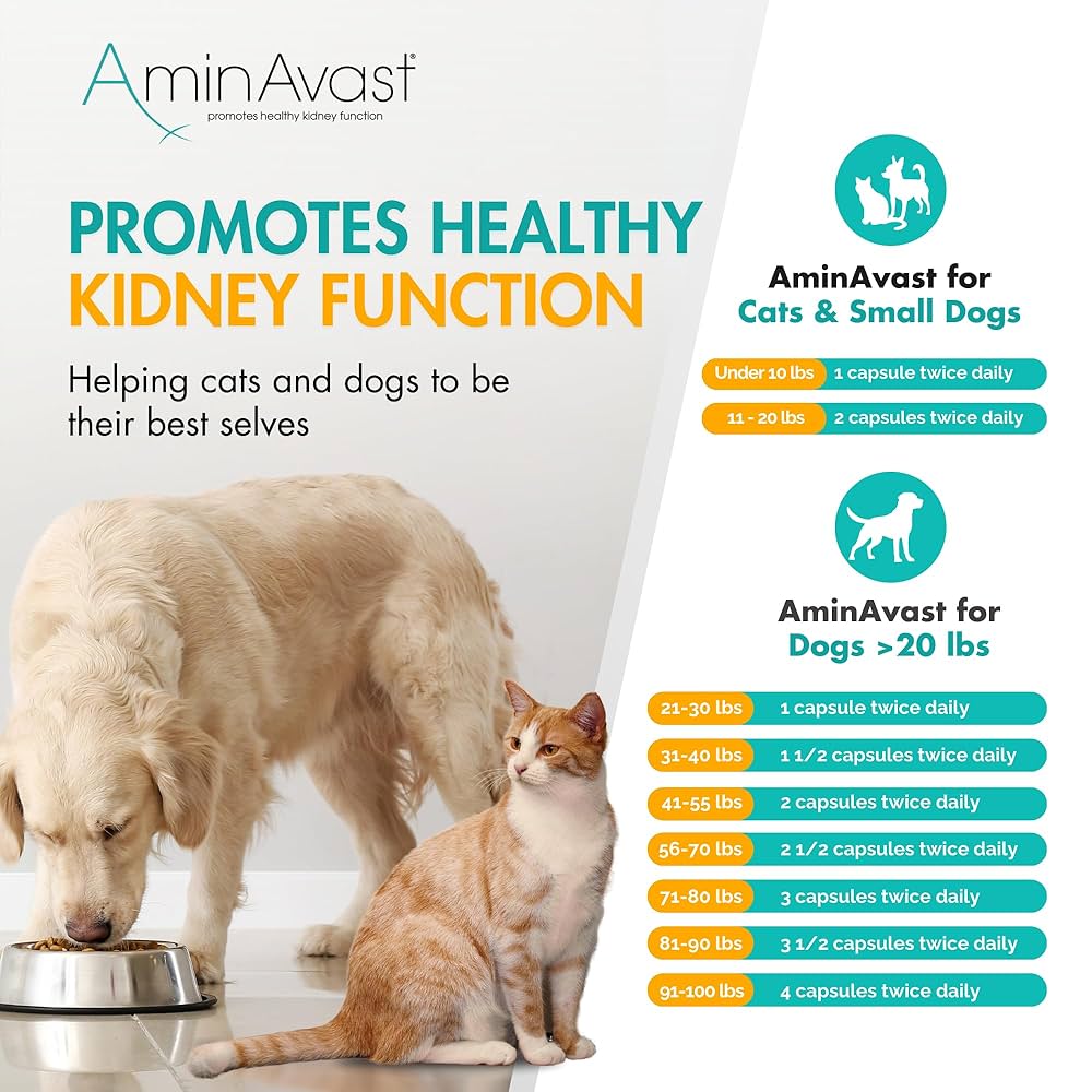 AminAvast 60カプセル 犬猫用サプリメント×2つ AminAvast 60カプセル 犬猫用サプリメント×2つ サプリメント