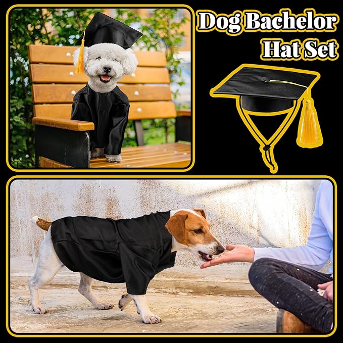 Gorra y Toga de Graduación para Perro 2026 - Disfraz Lavable Talla M Negro miniatura 6