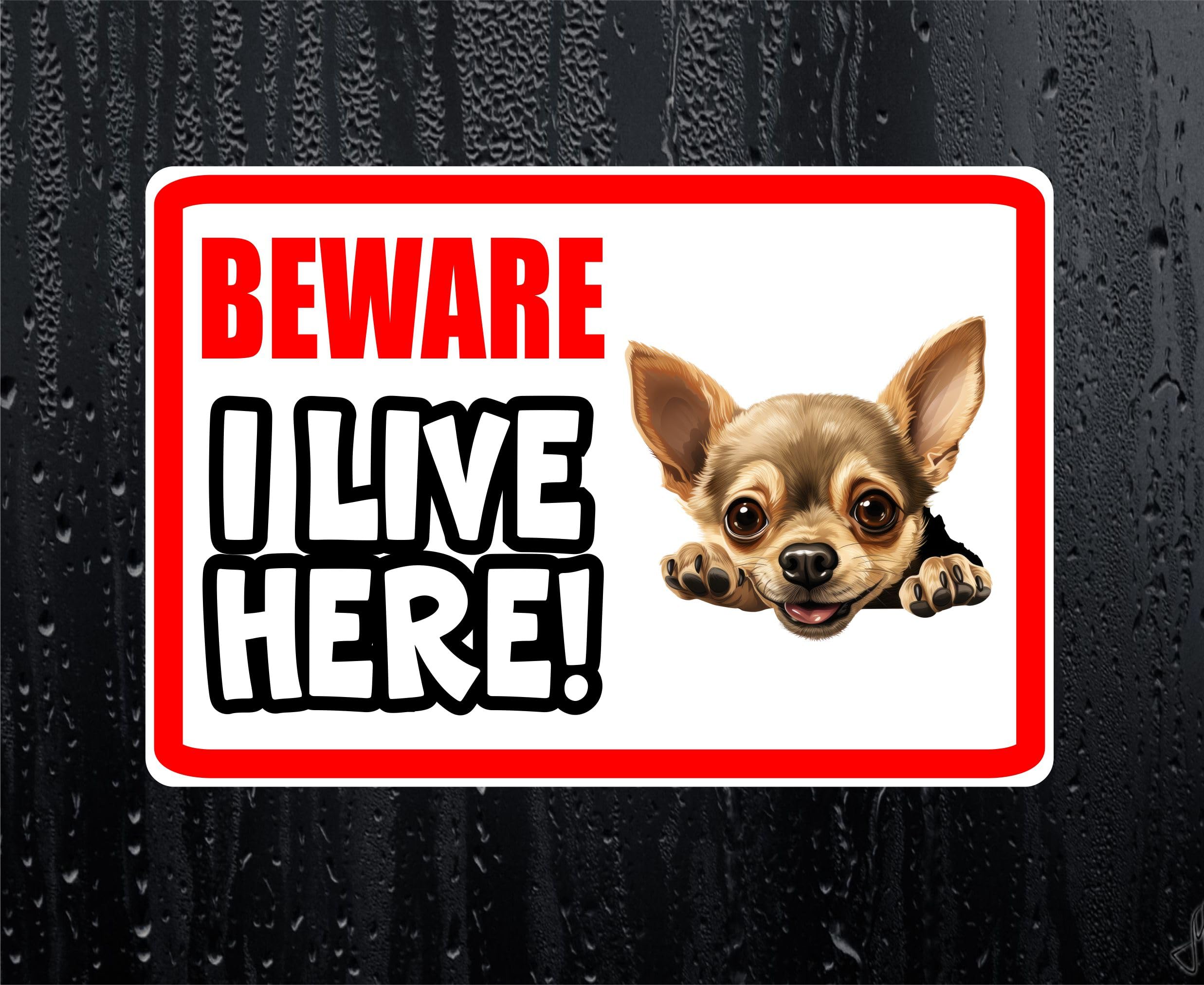 Decalarama White Chihuahua Sticker Beware I Live Here House Home Window Door Porch Printed Decal