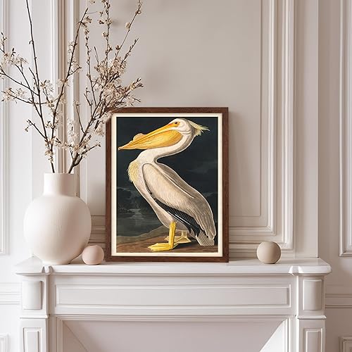 Miniatura 29 de Poster Master Póster vintage de flamenco americano, estampado retro de flamenco rosa, arte de pájaro, regalo para él, ella, amante de los animales,