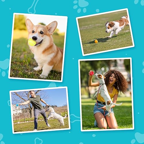 Miniatura 6 de Prime Pets Squeaky - Pelotas de tenis para perros, paquete de 12, pelotas de tenis duraderas de alto rebote de 2.5 pulgadas para perros, pelota de