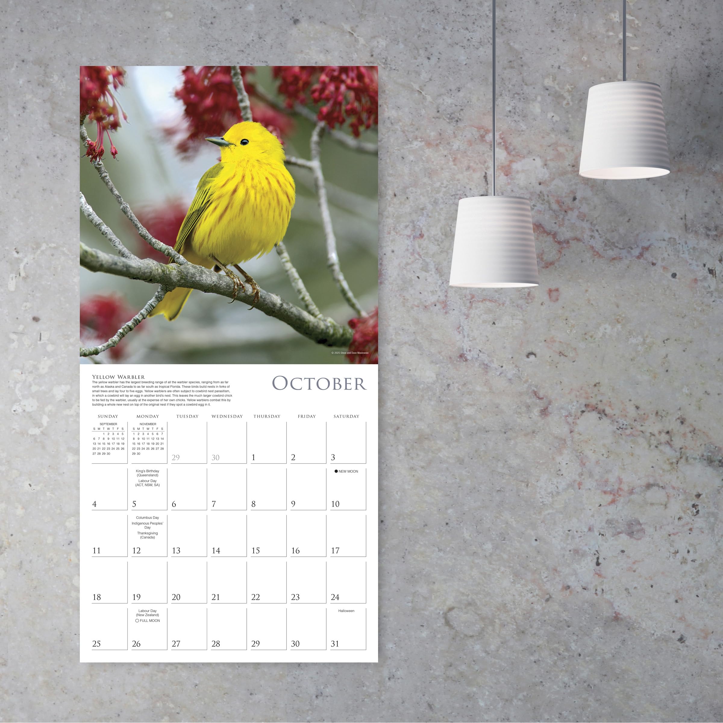 Calendrier Mural 2026 Fleurs Et Oiseaux - 12 Mois, Format 28,5x21cm, Design Artistique, Pour Salon, Bureau, Chambre - 2