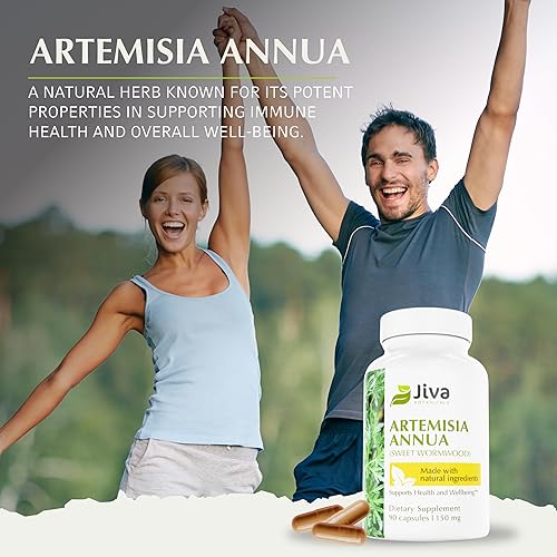 Miniatura 5 de Jiva Botanicals Artemisia Annua Cápsulas de ajenjo dulce - Apoya el sistema inmunológico y la salud normal del hígado - Fabricado en los Estados