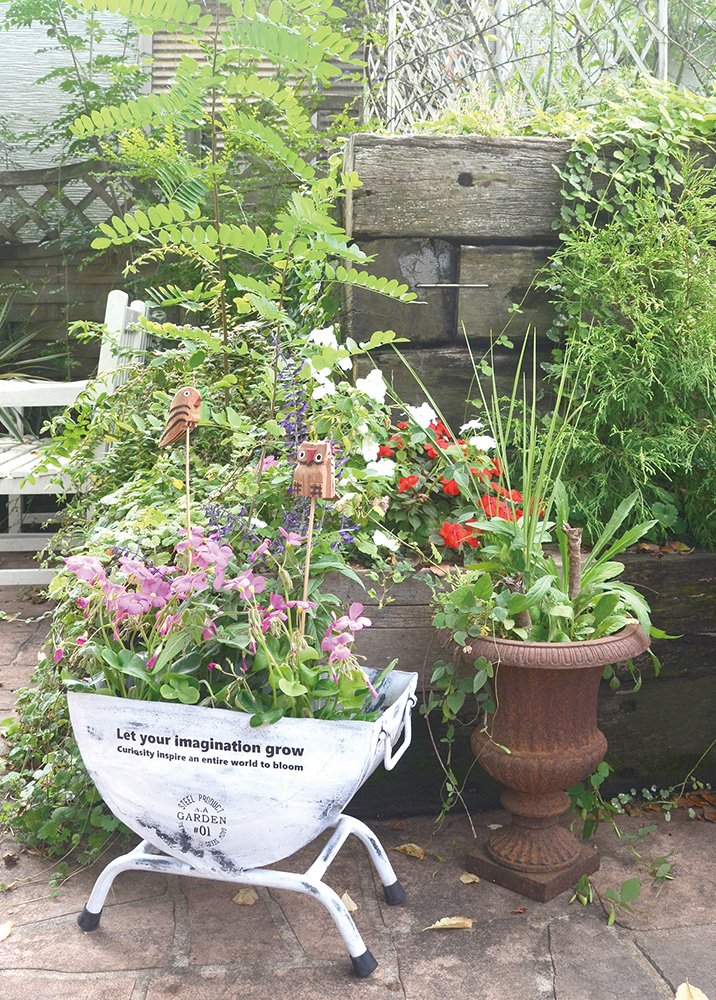 Amazon | azi-azi プランター セミサークルプランター | ボックス