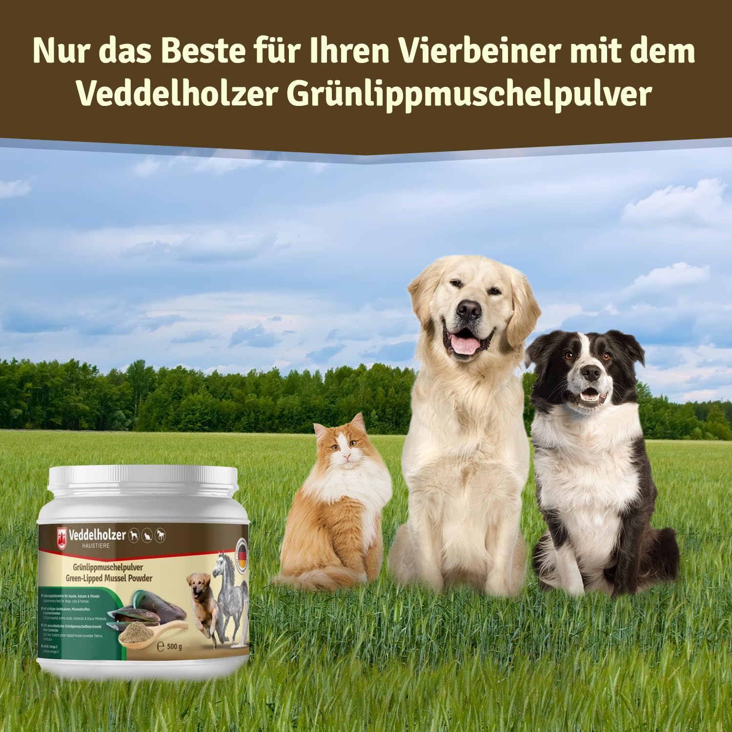 Veddelholzer Natürliches Grünlippmuschelpulver Hund - 500g Grünlippmuschel für Hunde hochwertige Nahrungsergänzung - Grünlippmuschelextrakt mit Hoher Akzeptanz bei Allen Hunden