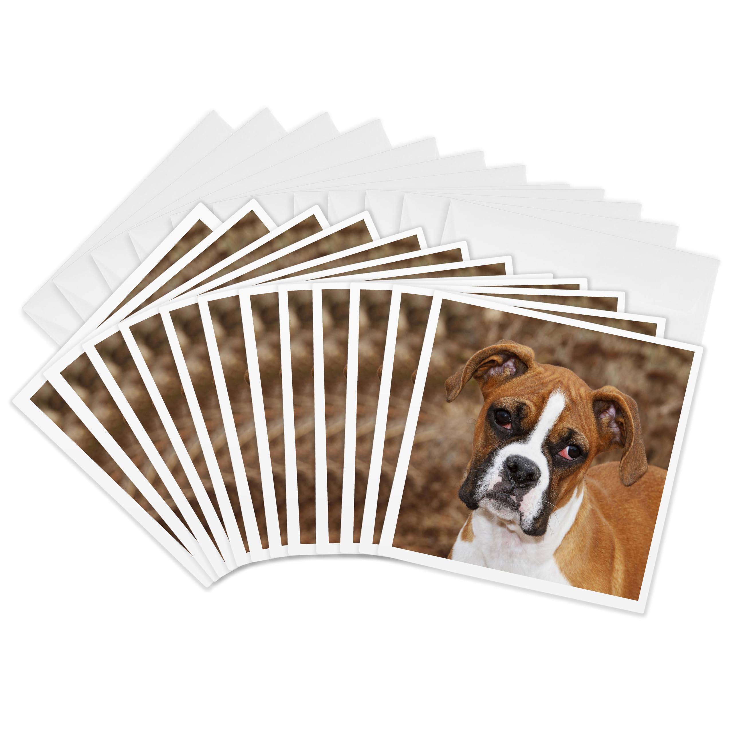 Grußkarten-Set Mit Pyrenäen-Hunden – 12 Karten, 15x15 Cm, Blanko Innen