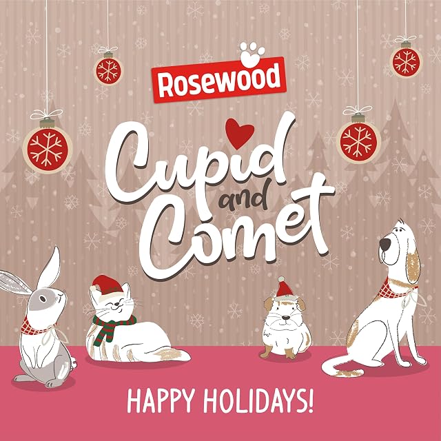 Foto 7 de 7 de Rosewood Cupido y Cometa Navidad Cena Gato Stocking, Cat Treats & Catnip Ratones Juguetes