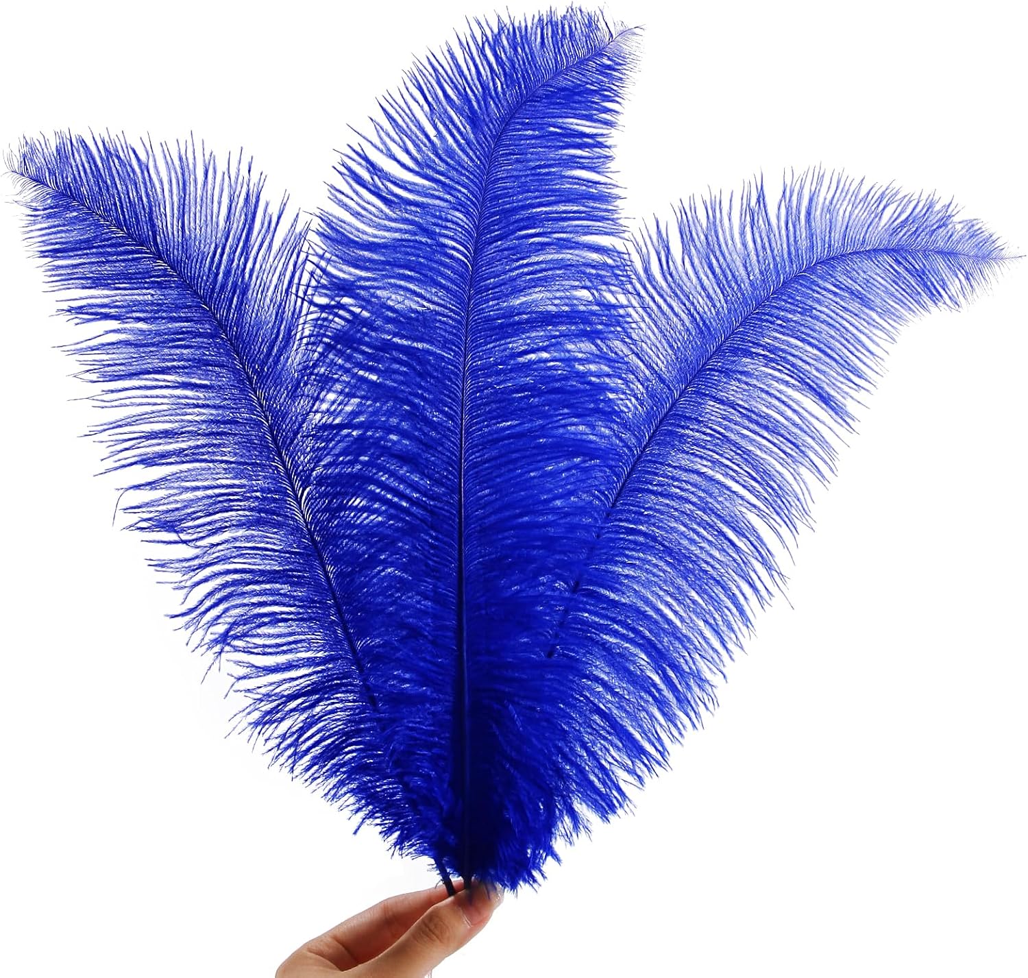 SendyFeather 50pcs Natural Blue Ostrich Spads Feather 14-16inch (35-40cm) Bulk Feathers for Crafts Flowers Vase Wedding Party Centerpiece Decoration