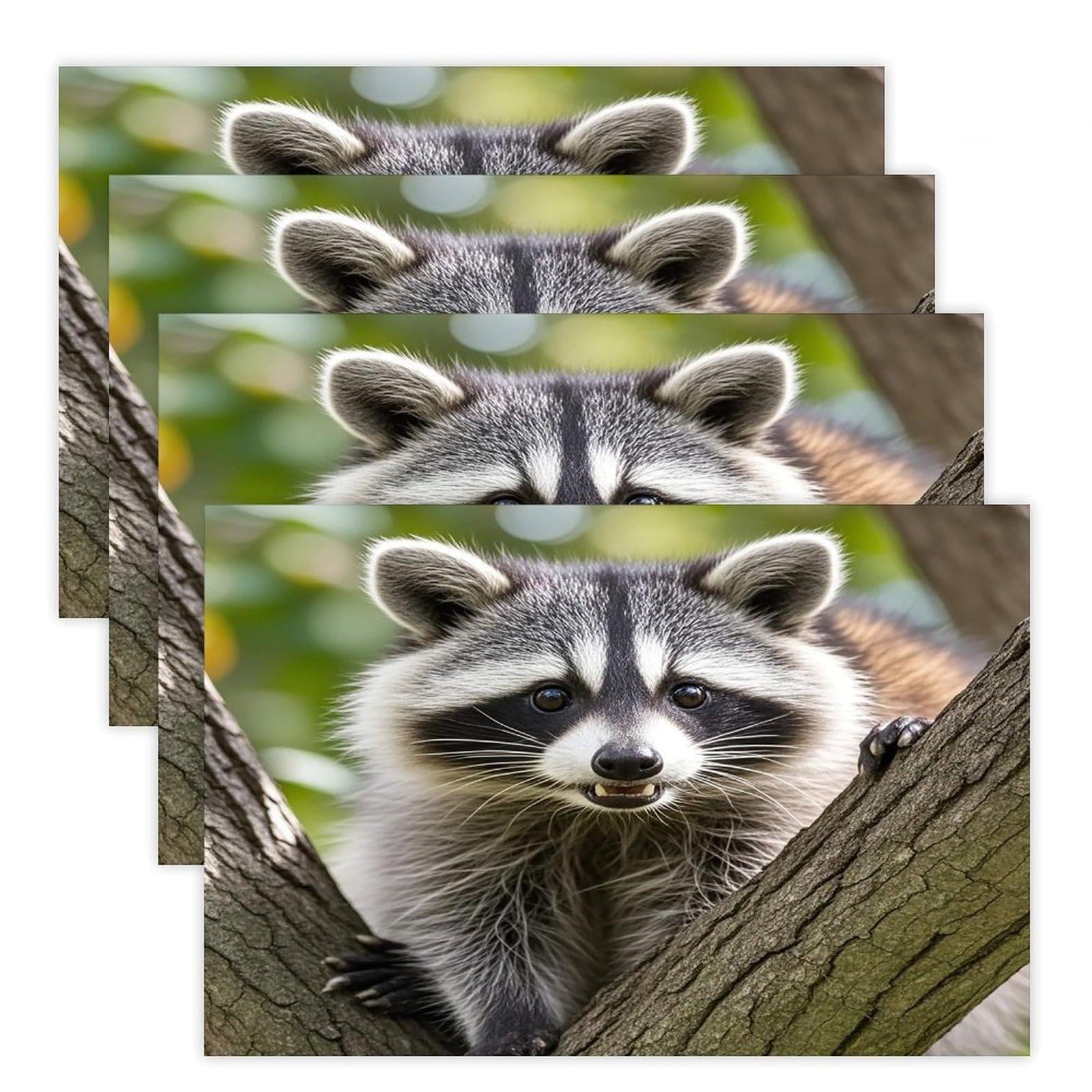 Raccoon Placemats Flax Place Mats for Dining Table Rectangle Non-Slip Table Mats Heat Resistant Washable Placemat for Kitchen Home Decor Party Outdoor 12" X 18"