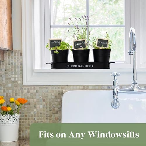 Miniatura 3 de PERFNIQUE Jardín de hierbas para interior, maceta de jardín de hierbas para interiores y exteriores, macetas de granja, alféizar de la ventana