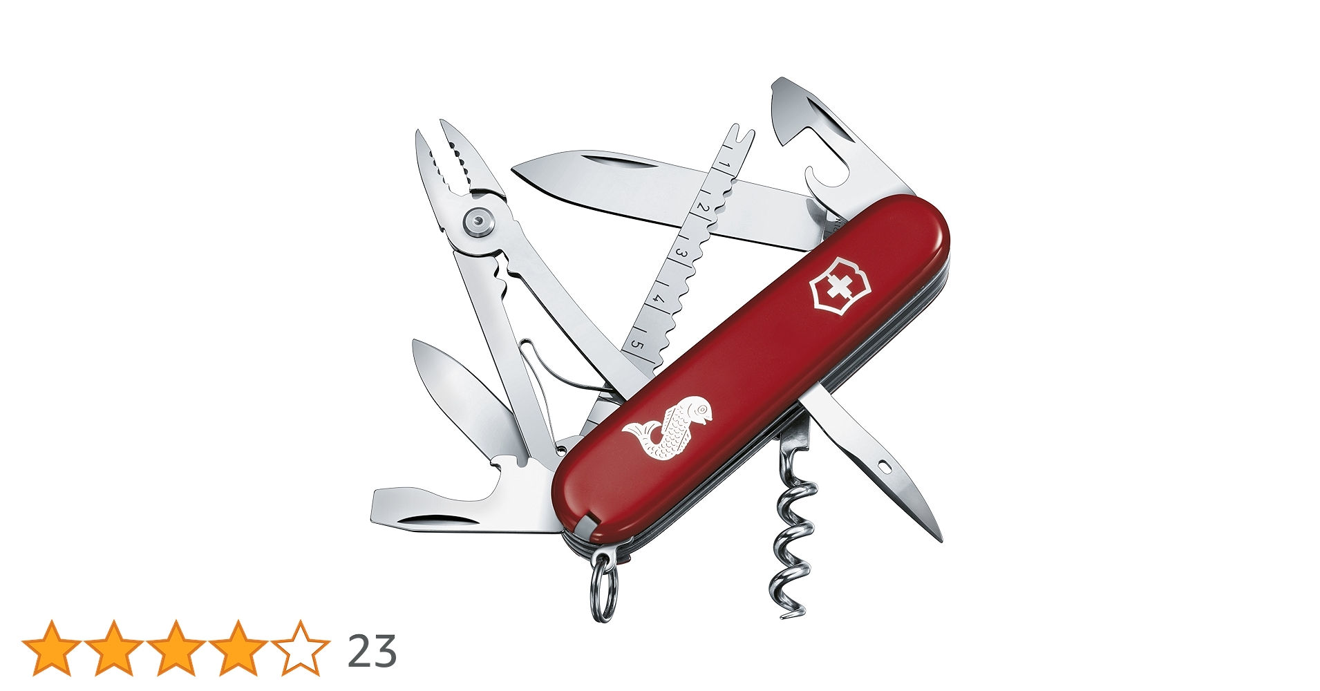 ３３歳からの週末のアングラー 33歳からの週末のアングラー 33歳からの週末のアングラー