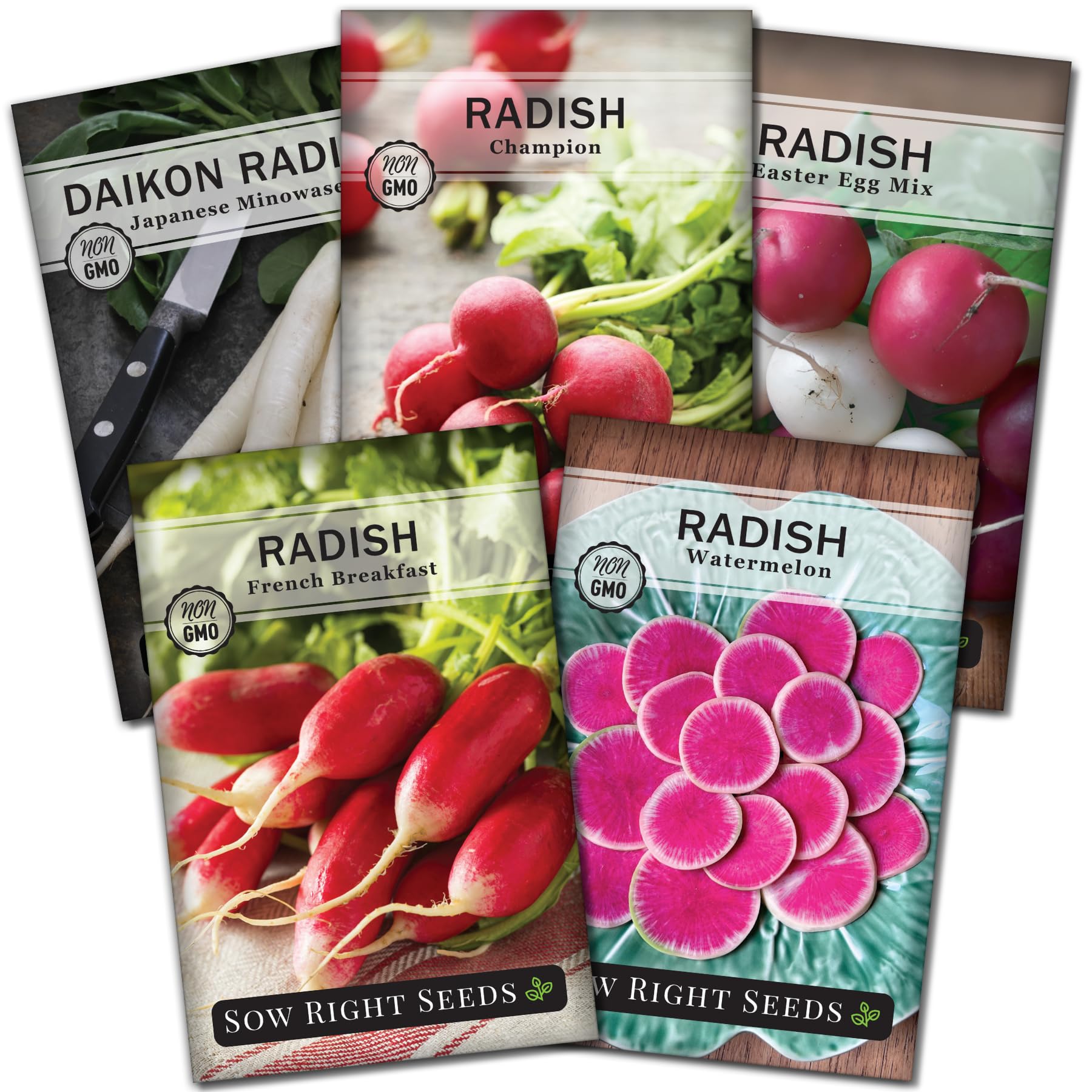 - Sow Right Seeds - Radish Seed Collection for Planting - Champion, Watermelon, French Breakfast, Easter Egg Mix, and Minowase Daikon Varieties, Non-GMO Heirloom Seed to Plant Home Vegetable Garden