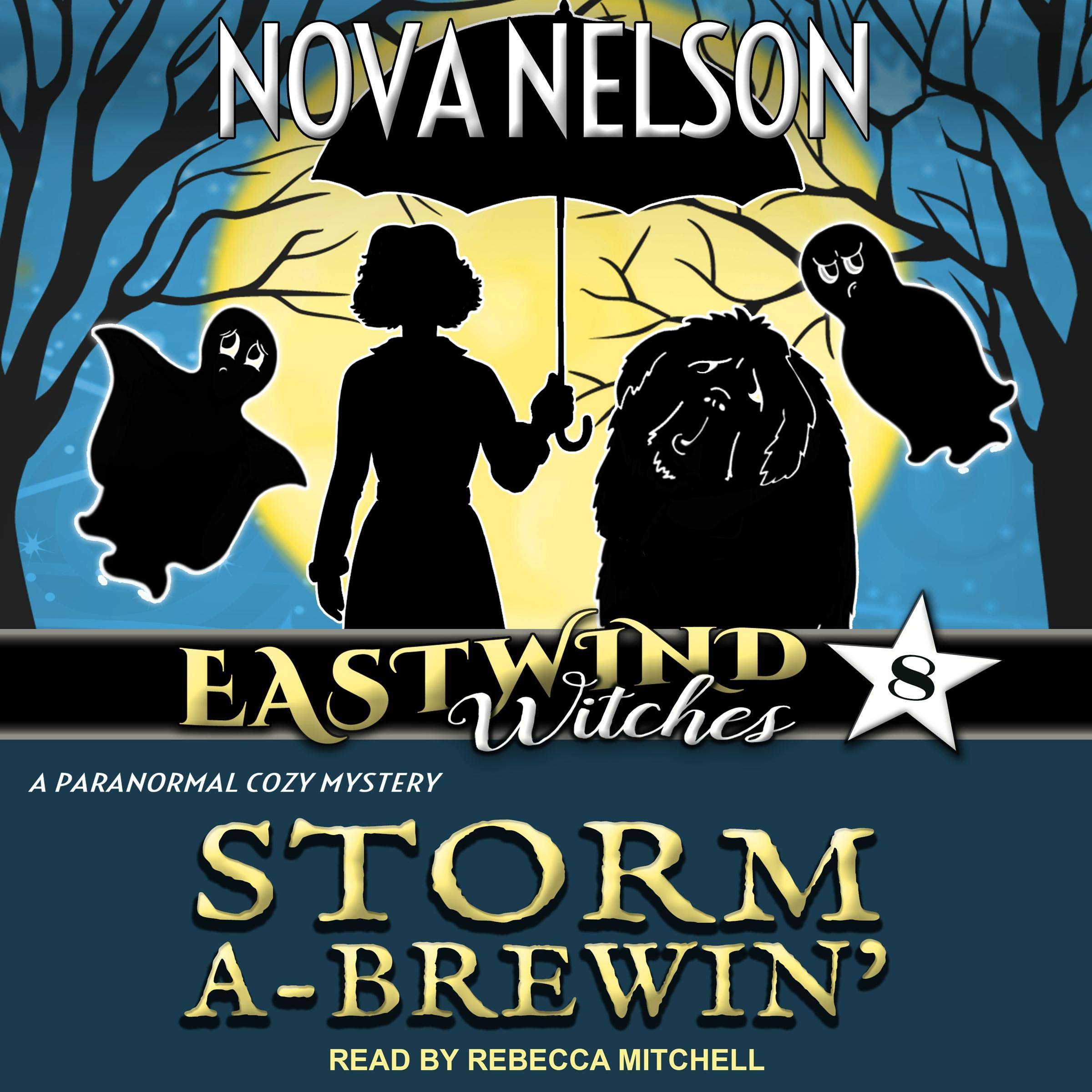 Cover art for Storm a-Brewin’
