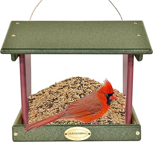 Miniatura 1 de Comedero grande de plástico colgante para pájaros, comedero para pájaros silvestres, hecho en Estados Unidos (verde césped y madera de cerezo)