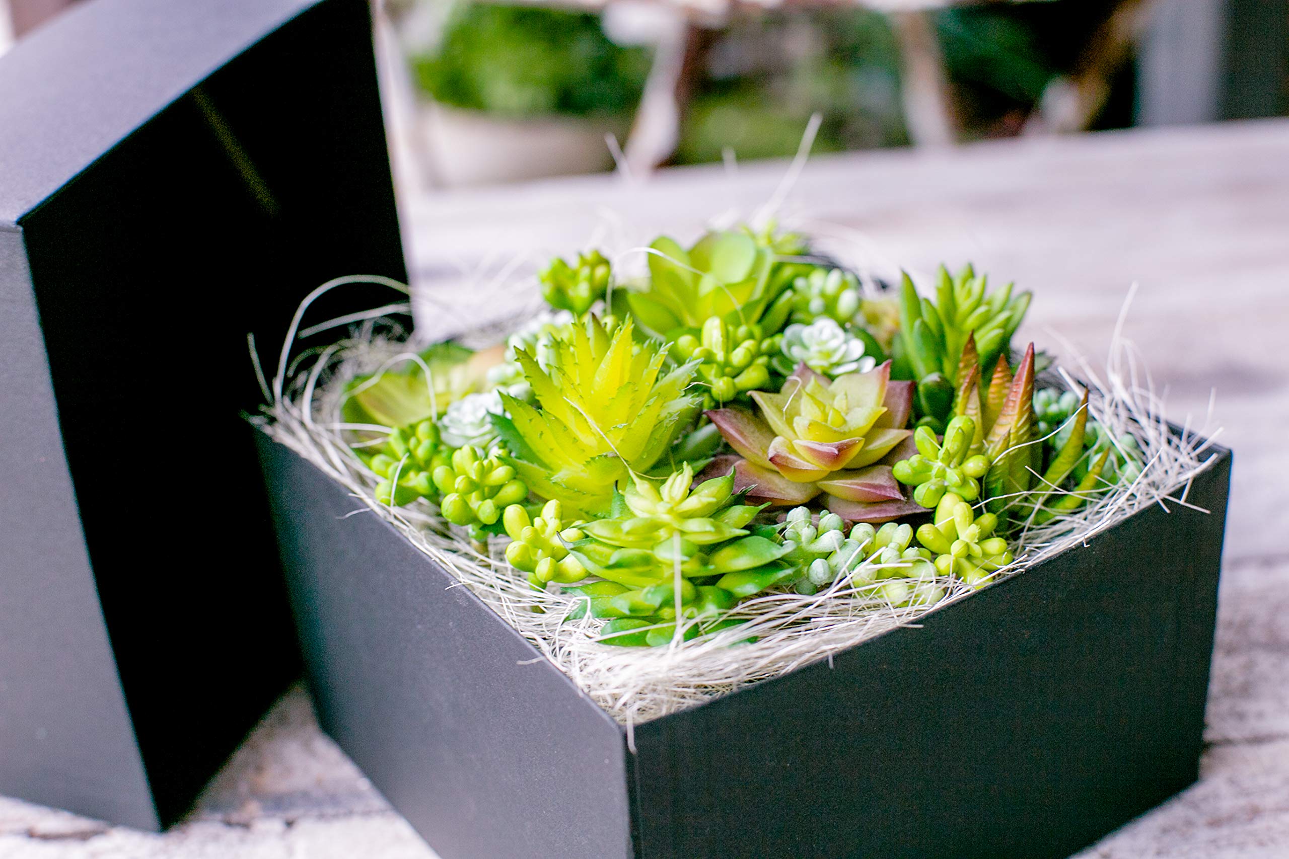 Amazon｜多肉植物 造花 寄せ植え ギフト 多肉フェイクグリーン