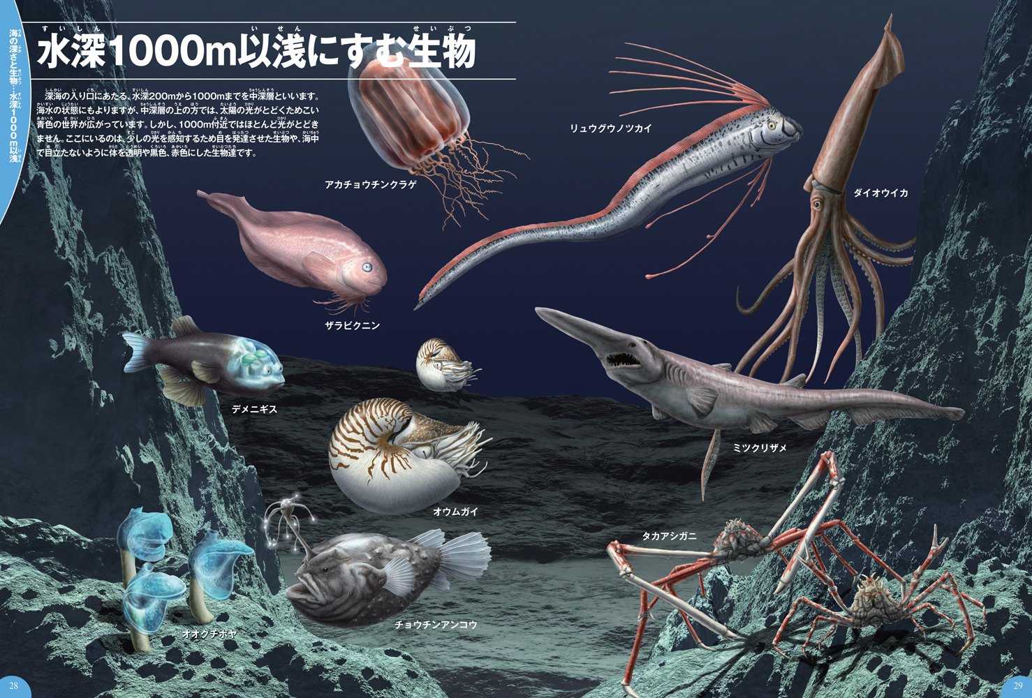 Dvd付 深海生物 学研の図鑑live 3歳 小学生向け 図鑑 学研の図鑑live ライブ 武田正倫 本 通販 Amazon