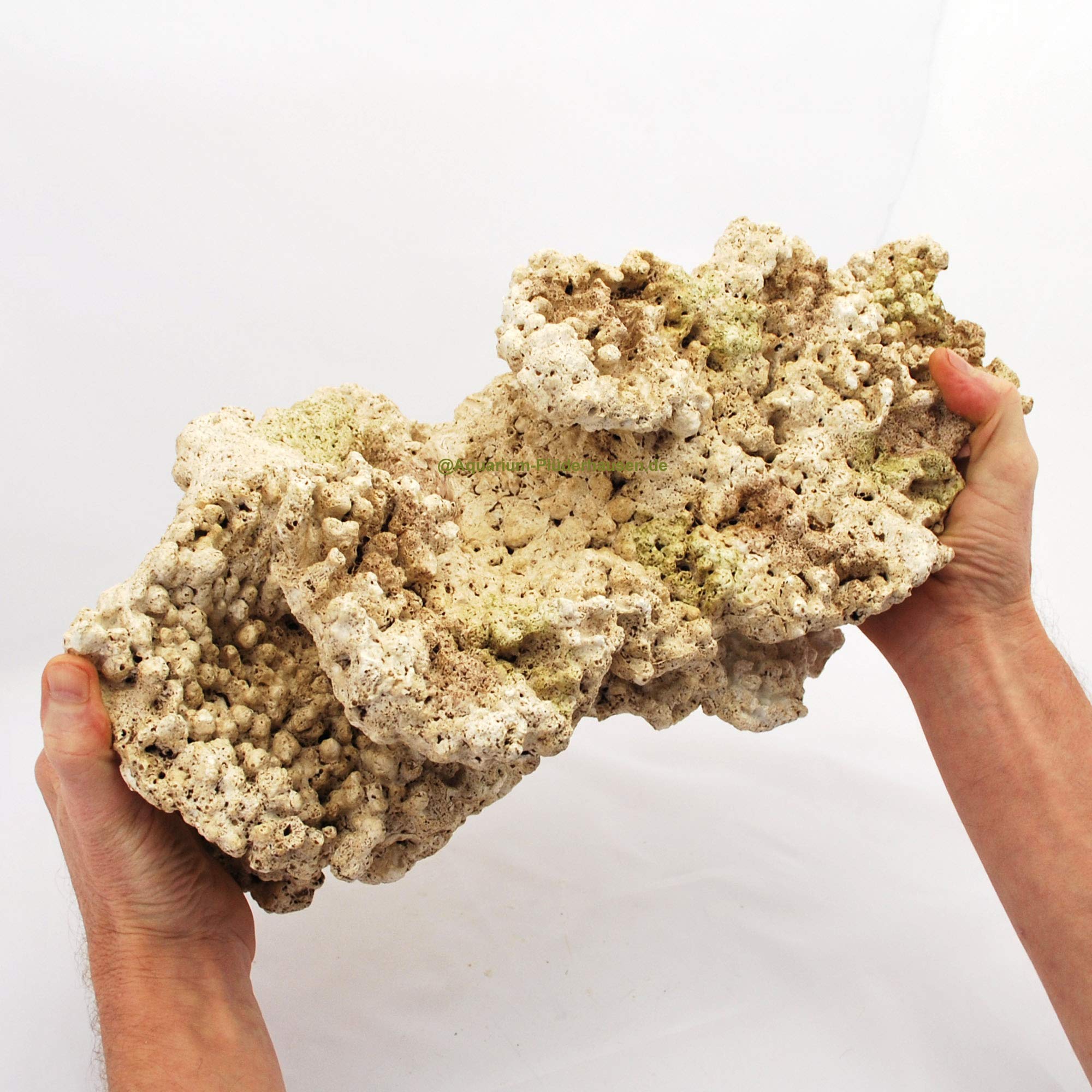 Riffgestein, 41 x 23,5 x 18 cm,Felsen Nachbildung,Meerwasser Aquarium Deko