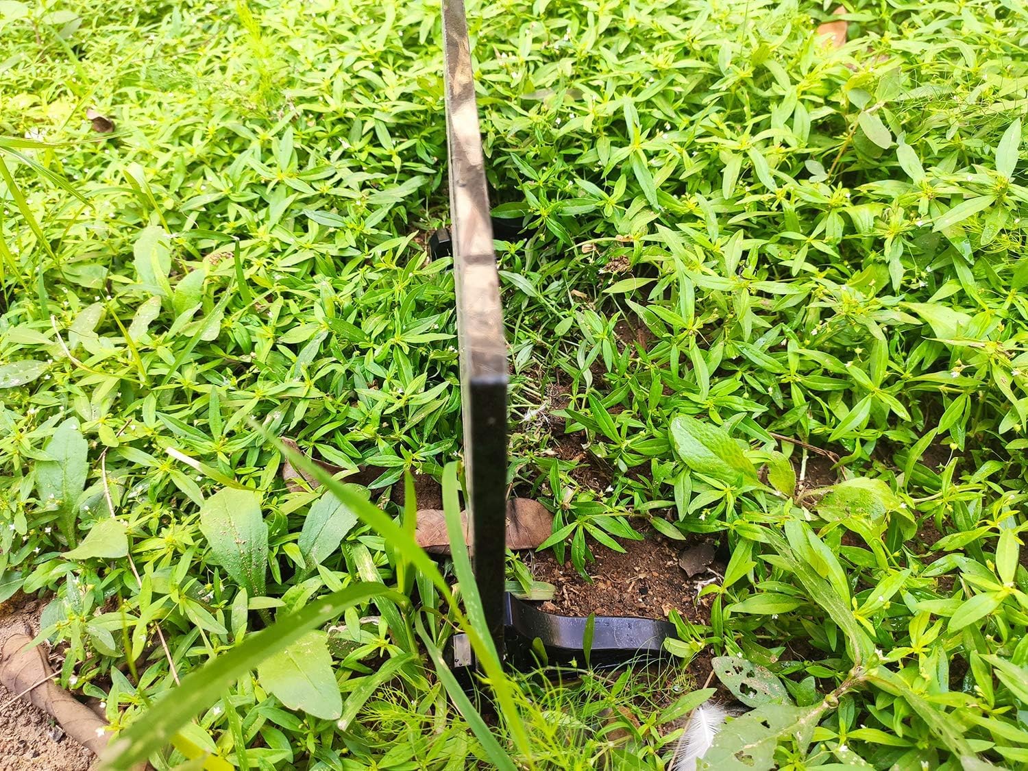 Personalized Human Memorial Stones, Black Granite Memorial Garden Stone, Gifts for Someone Who Lost a Loved One, or Pet, Dog, Cat (Dove 1, 8x4 inches (20x10cm))