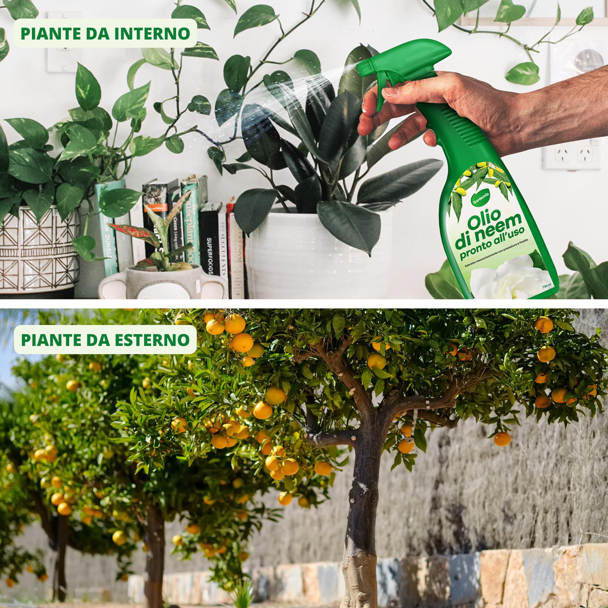 Gardemia Olio di Neem Spray per Piante 750ml Pronto Uso Azione Naturale