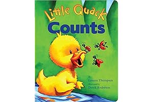 Little Quack Counts: An Interactive Counting Book