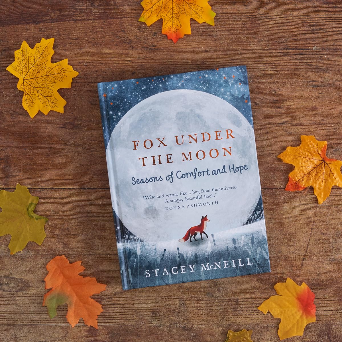 Fox Under the Moon: Seasons of Comfort and Hope