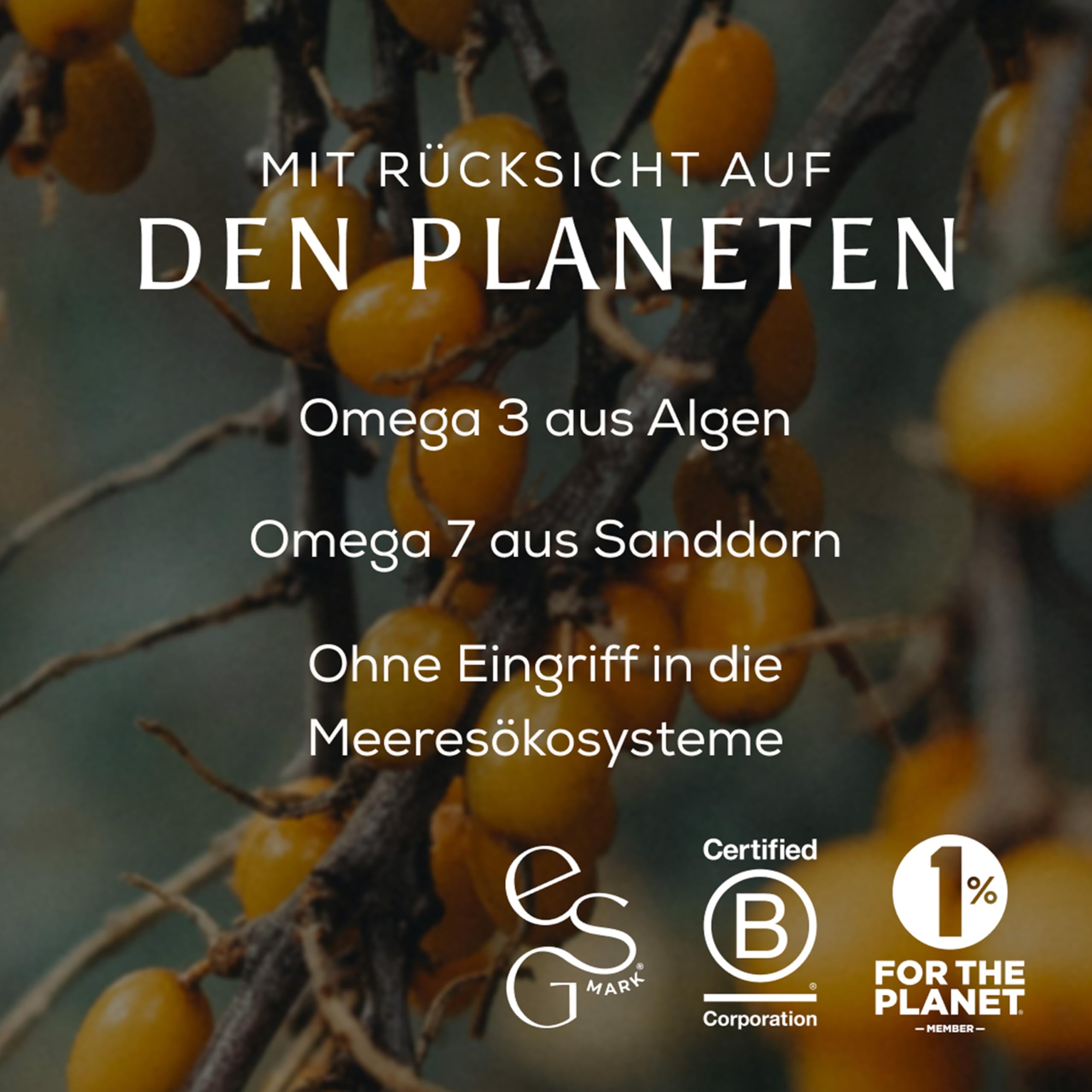 Ancient + Brave True Omegas+ | 60 Kapseln | 30 Portionen
