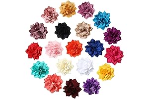 Saintrygo Dog Collar Flowers