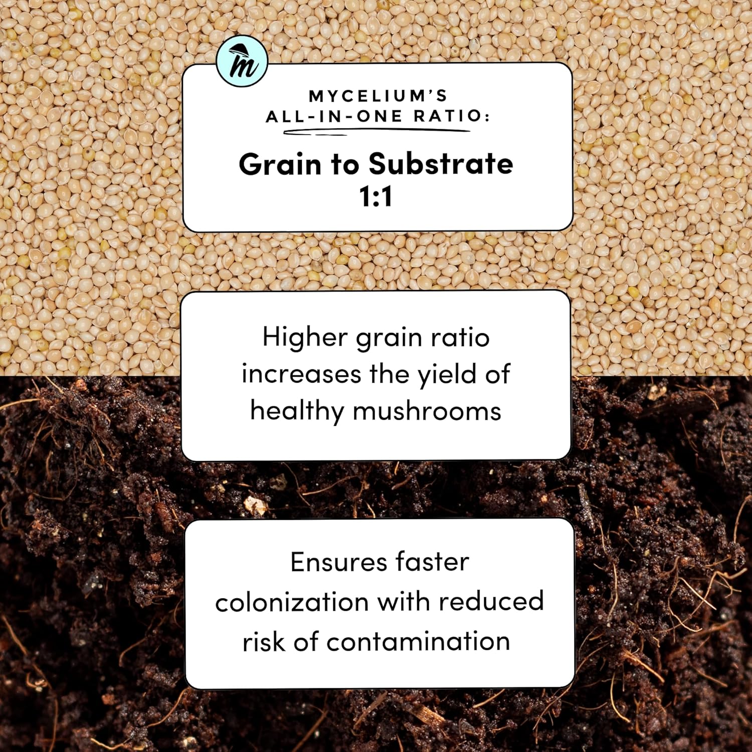 Mycelium Mushroom Growing Kit (5LB Bag) I CVG Substrate (Coco Coir, Vermiculite, Gypsum) with Millet Grain I Sterilized Mushroom Grow Bag for Starter & Pro Home Growers | USA Made