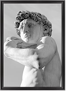 QUADRO SU TELA CANVAS INTELAIATO - CON CORNICE - David di Michelangelo - Firenze Uffizzi - 70x100cm - Stile Contemporaneo Nero - (cod.1071)