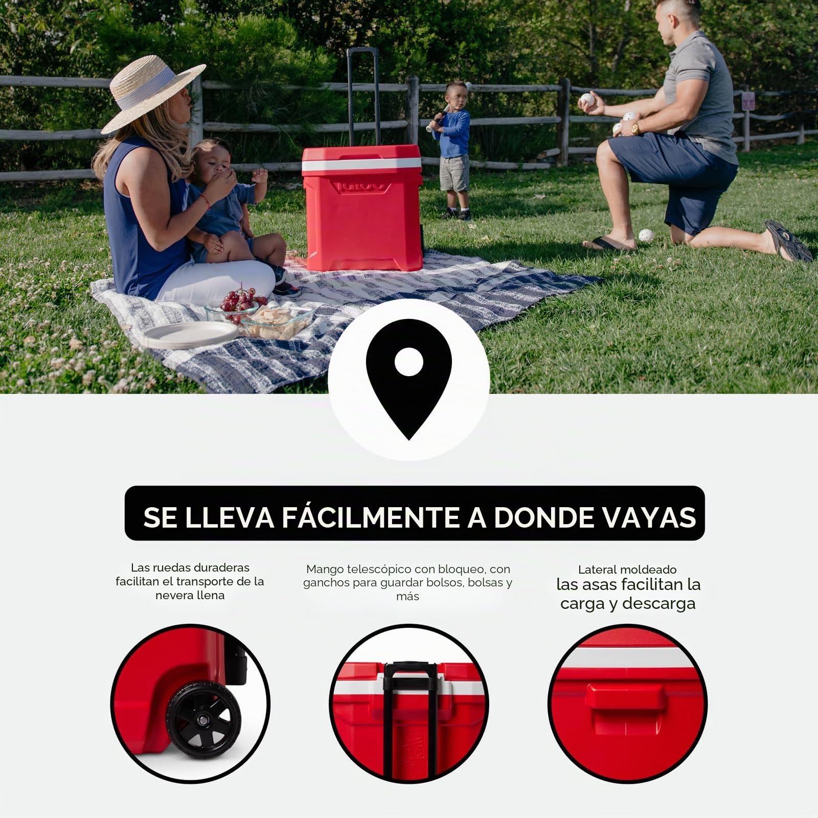 Igloo Serie Profile Cooler
