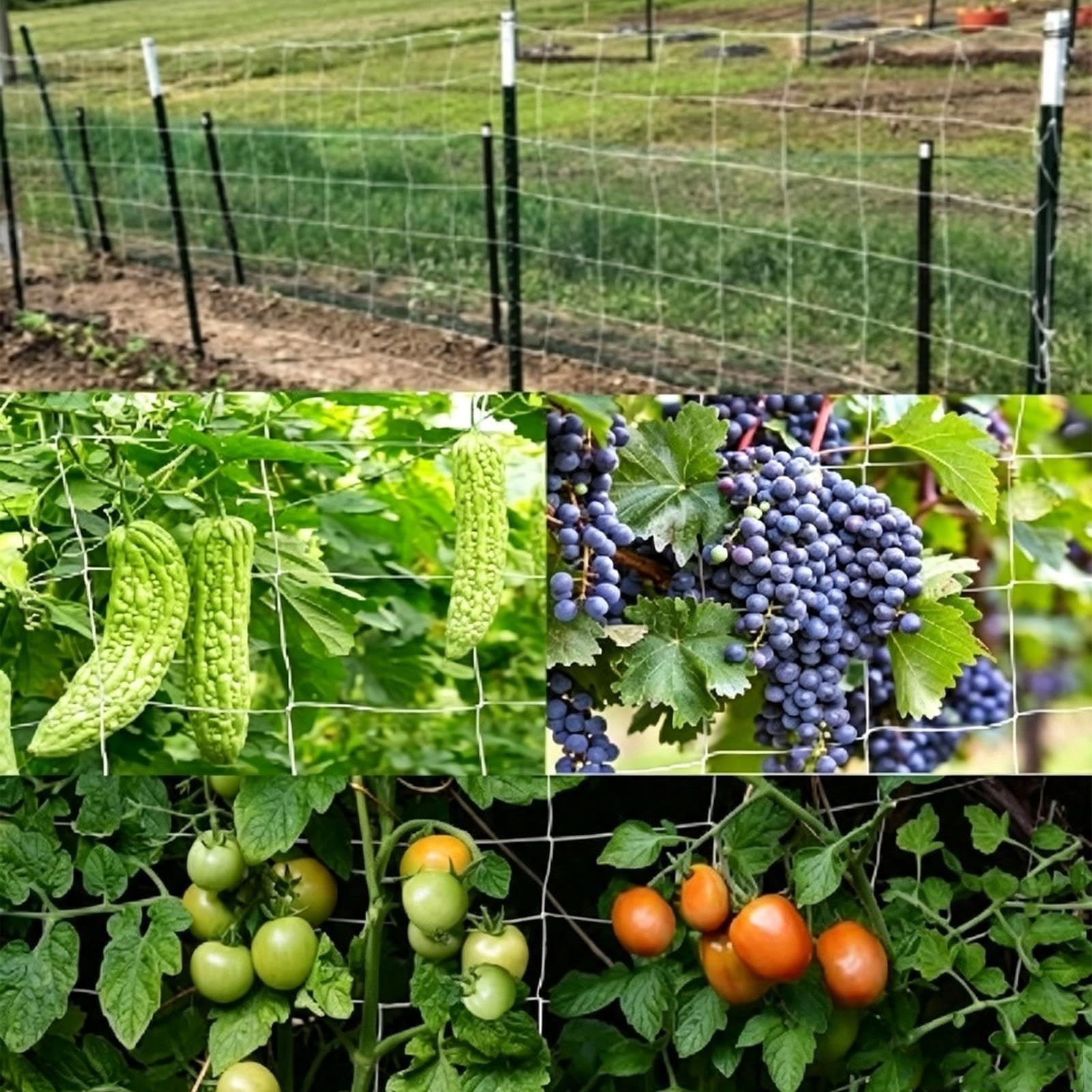 Vertikal Gartennetz Ranknetz Spaliernetz Polyester Schwerlast 6 Zoll