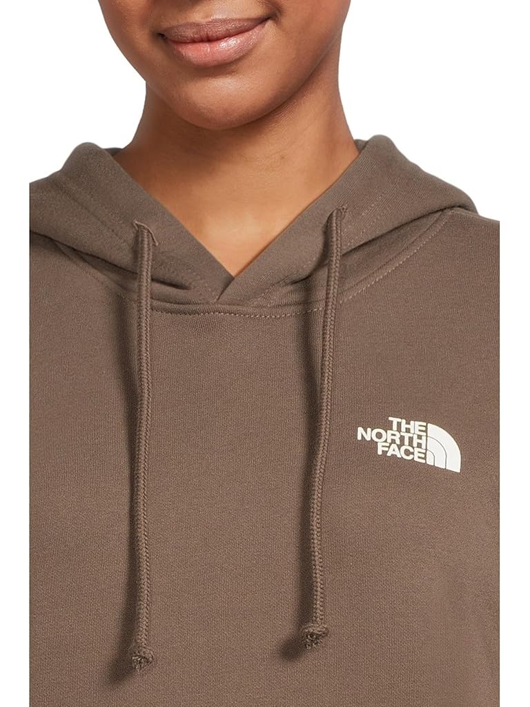 Brown The North Face Evolution Box NSE Hoodie