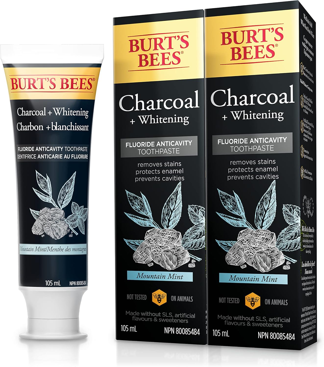 Burt's Bees Charcoal Fluoride Toothpaste, Mountain Mint, 105 mL (Pack