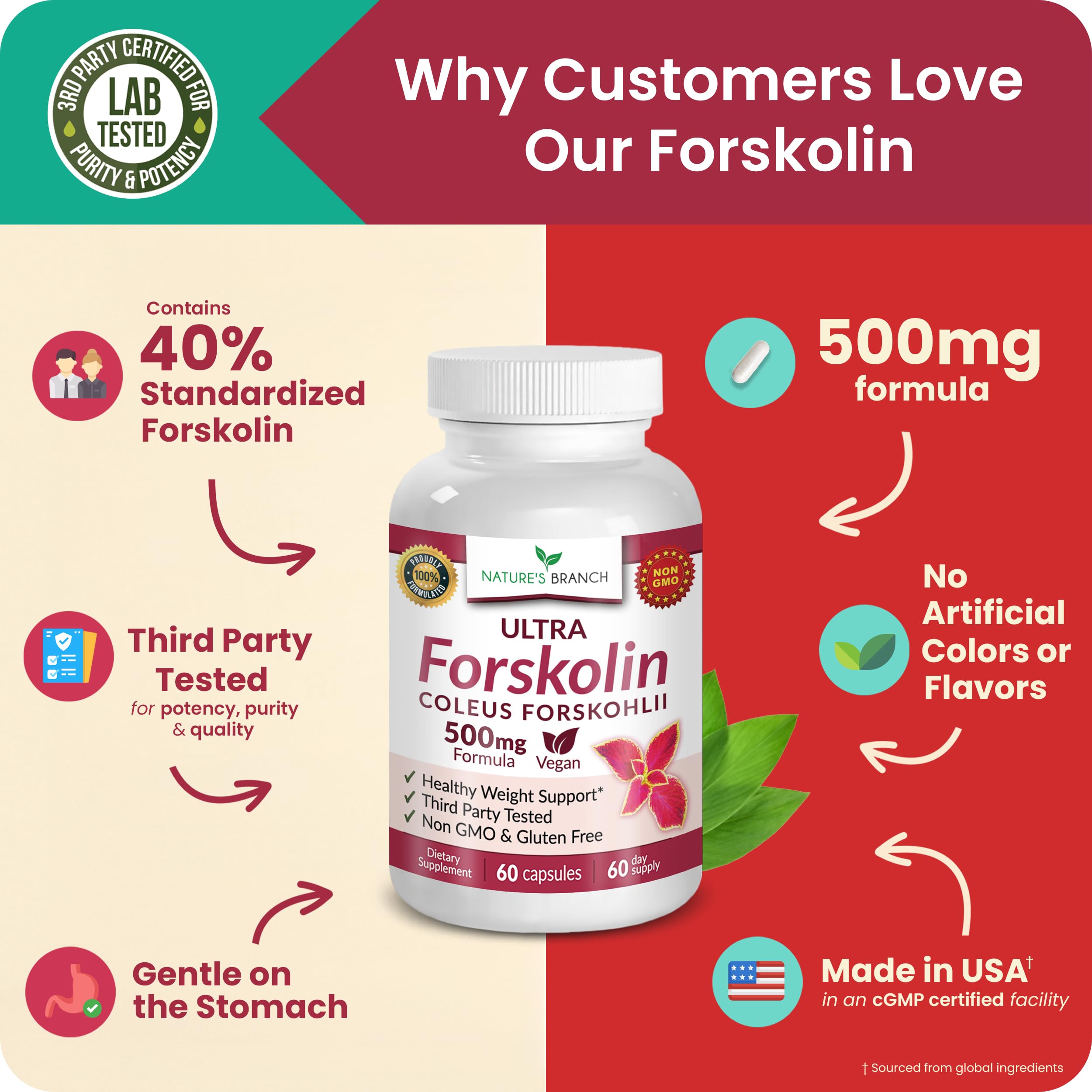 Ultra Forskolin Supplement 500mg, Coleus Forskohlii for Weight Management — Amazon image 5