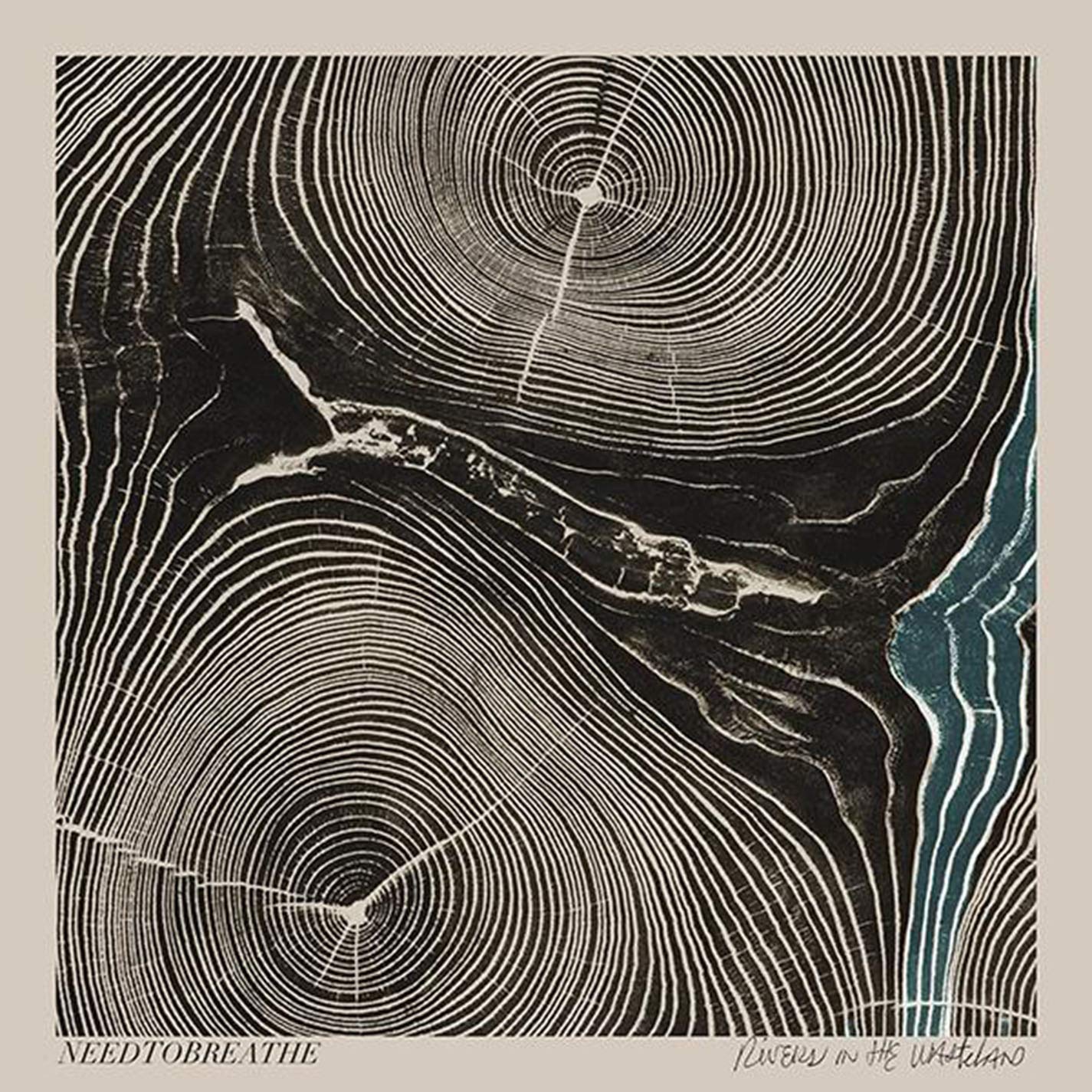 Rivers In The Wasteland [Audio CD] NEEDTOBREATHE
