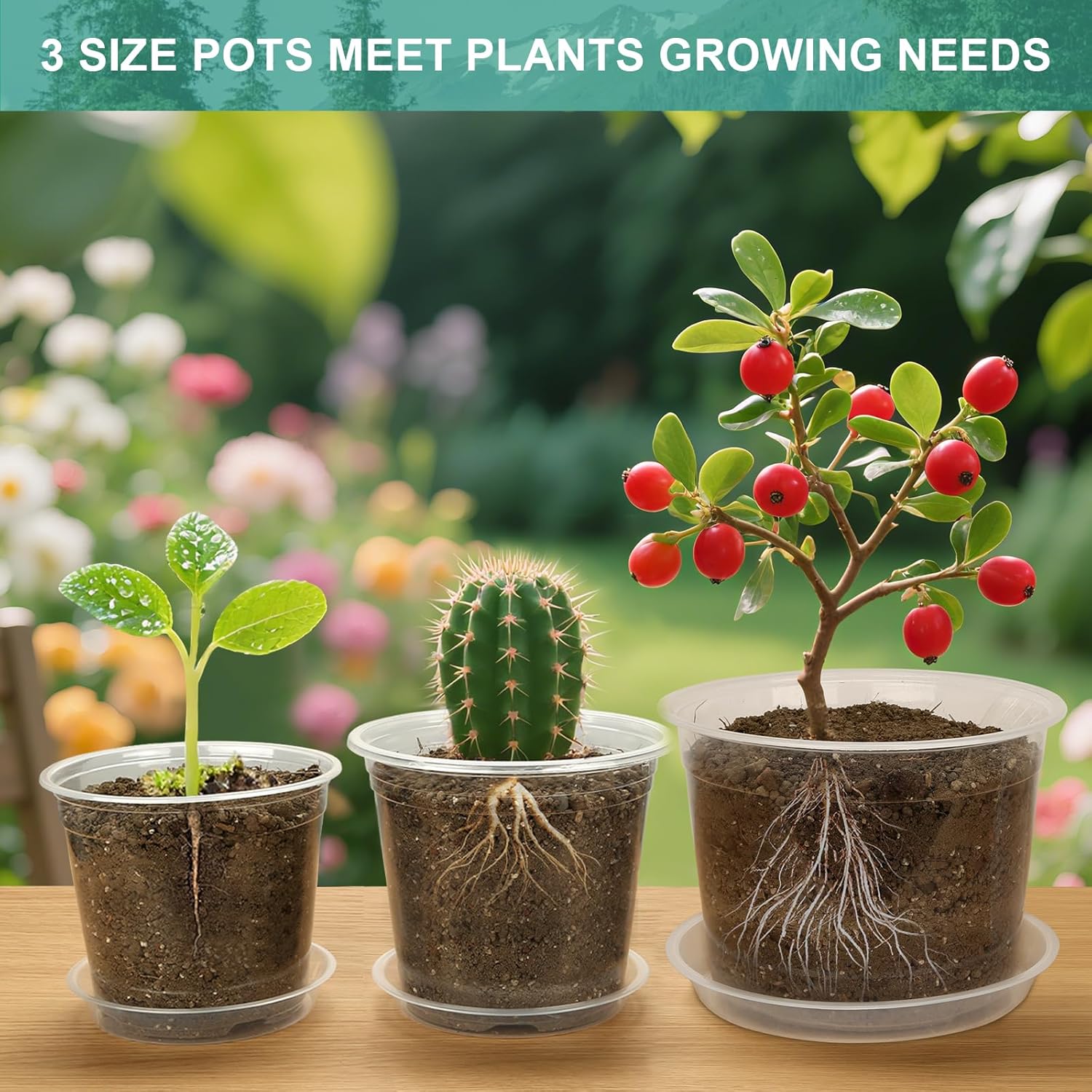 OUPSAUI 8 Inch Clear Nursery Pots with Drainage and Saucer, 5 Pack Large Plastic Pots for Plant, Seedling Starter Pot, Garden Pots for Succulents Flower Vegetables Herb