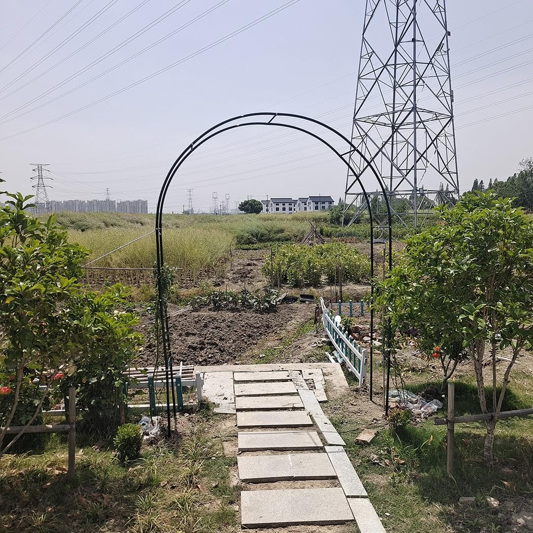 Arco da giardino per esterni, 2,8 m, pergolato per piante rampicanti, verdure e vite, arco in metallo nero per prato e decorazione per feste (280 x 250 cm)