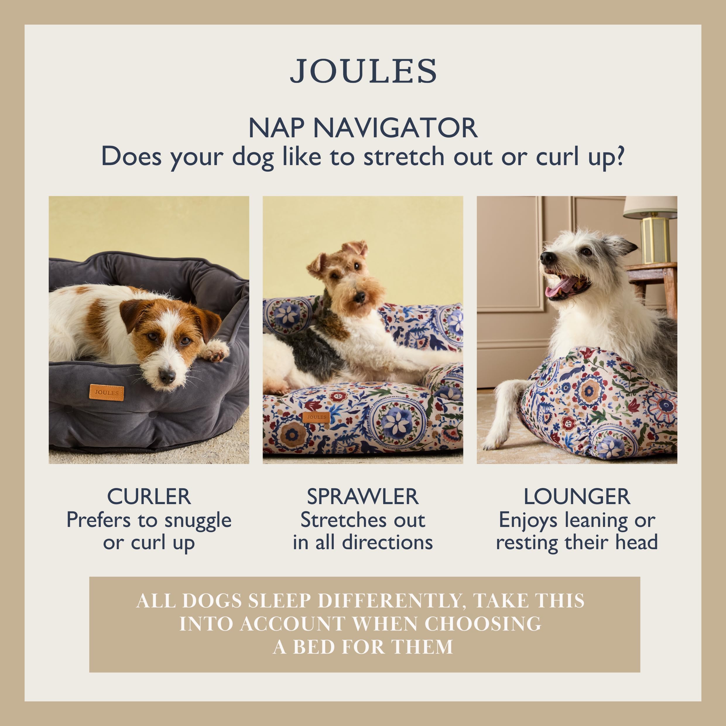 Rosewood x Joules - Cama Chesterfield para Mascotas, Grande, Cama de Terciopelo de Lujo para Perro con Base Antideslizante, Acolchado Adicional y cojín de Apoyo, diseño Elegante Inspirado en el sofá