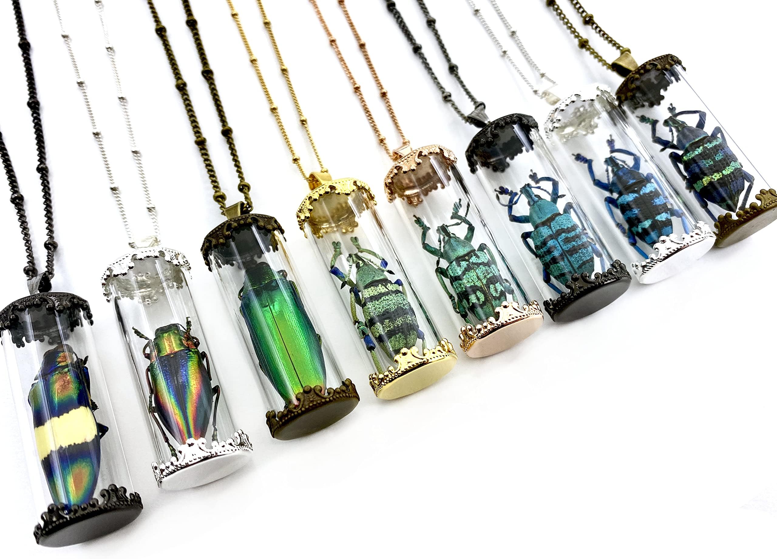 Real bug necklace Authentic beetle necklace Taxidermy beetle pendant Real insect jewelry Glass terrarium pendant