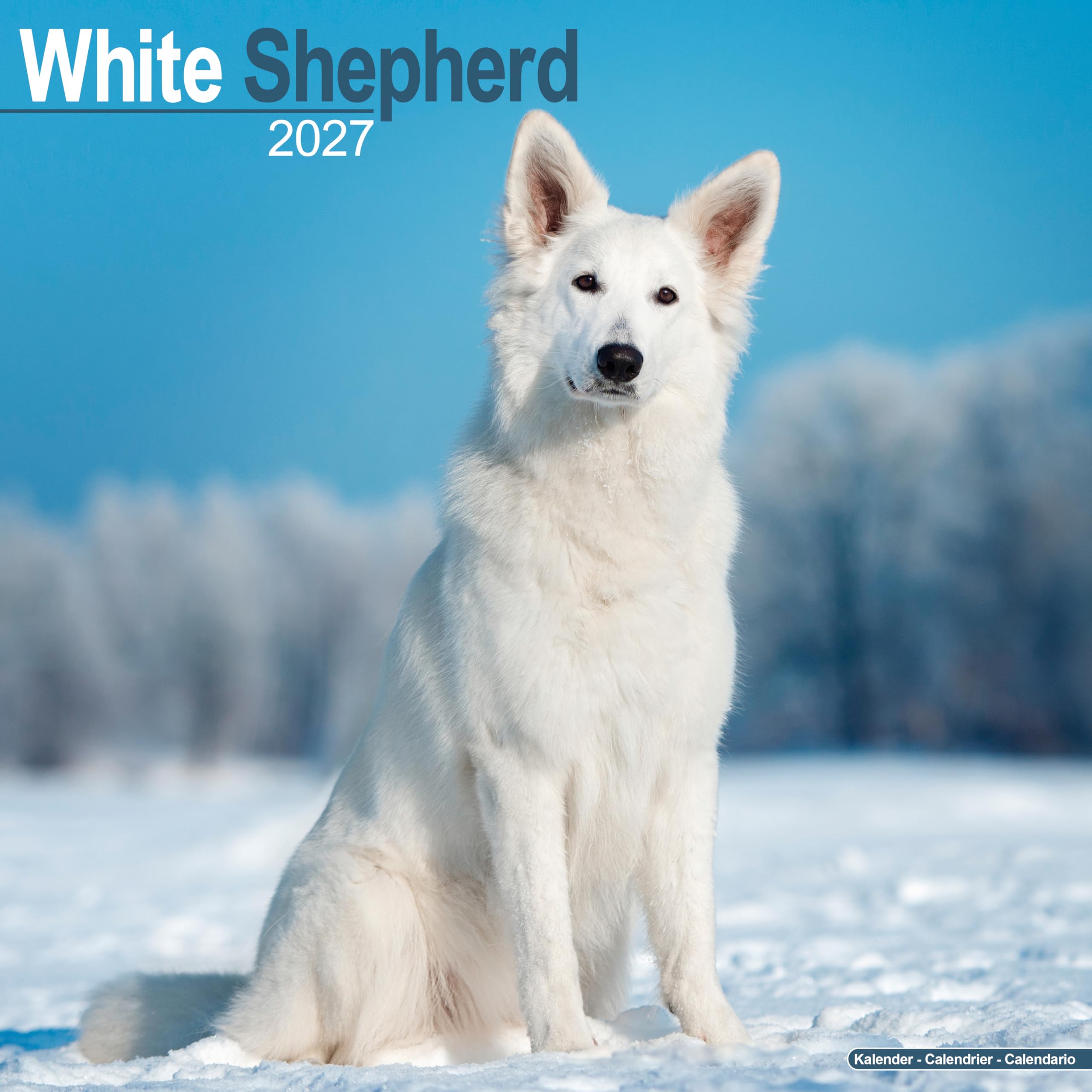 White Shepherd Calendar 2027, Wall Calendars, Month To View, Dogs, Gift
