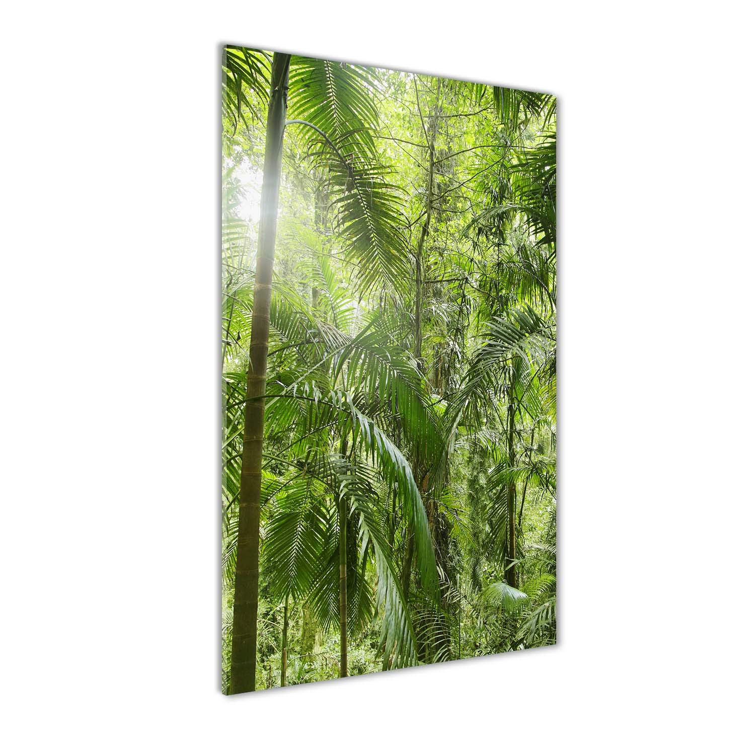 Impression sur verre acrylique Tulup 50x100 cm tableau forêt tropicale verte