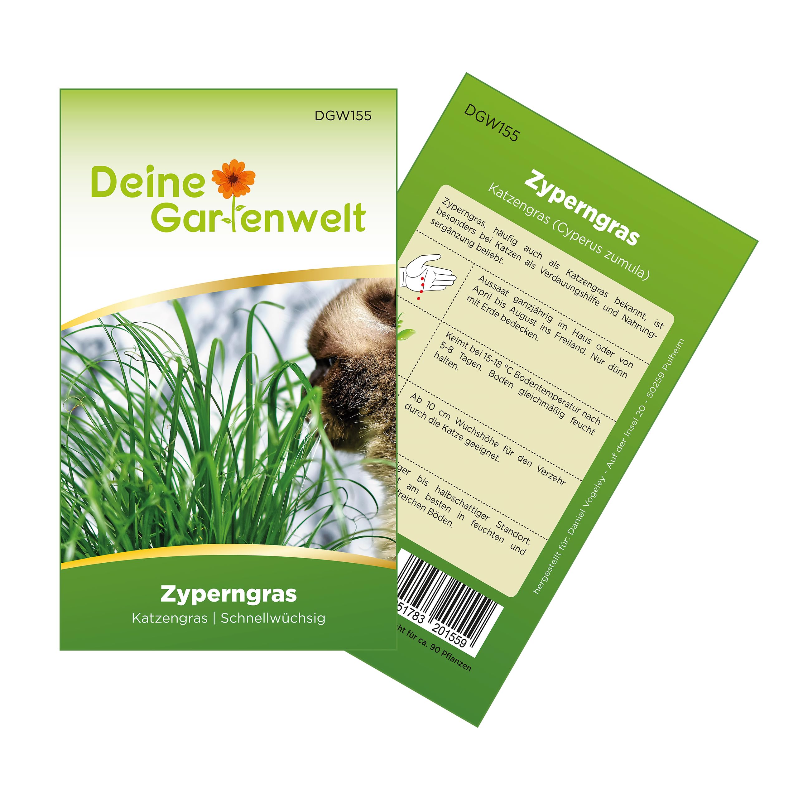 Zyperngras Katzengras Samen - Cyperus zumula - Zyperngrassamen - Katzengrassamen - Saatgut für 90 Pflanzen
