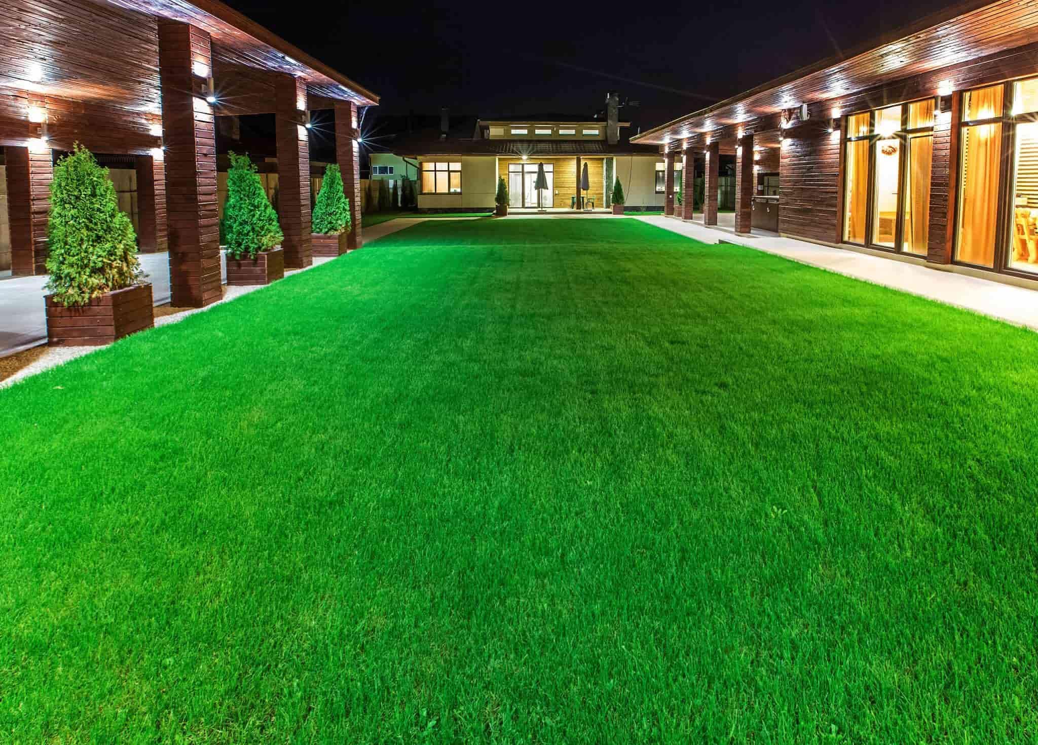 Bermuda Grass Seed Lawn Pack of 7000 Seeds (B0CZNZLGD8) Amazon Price History, Amazon Price Tracker