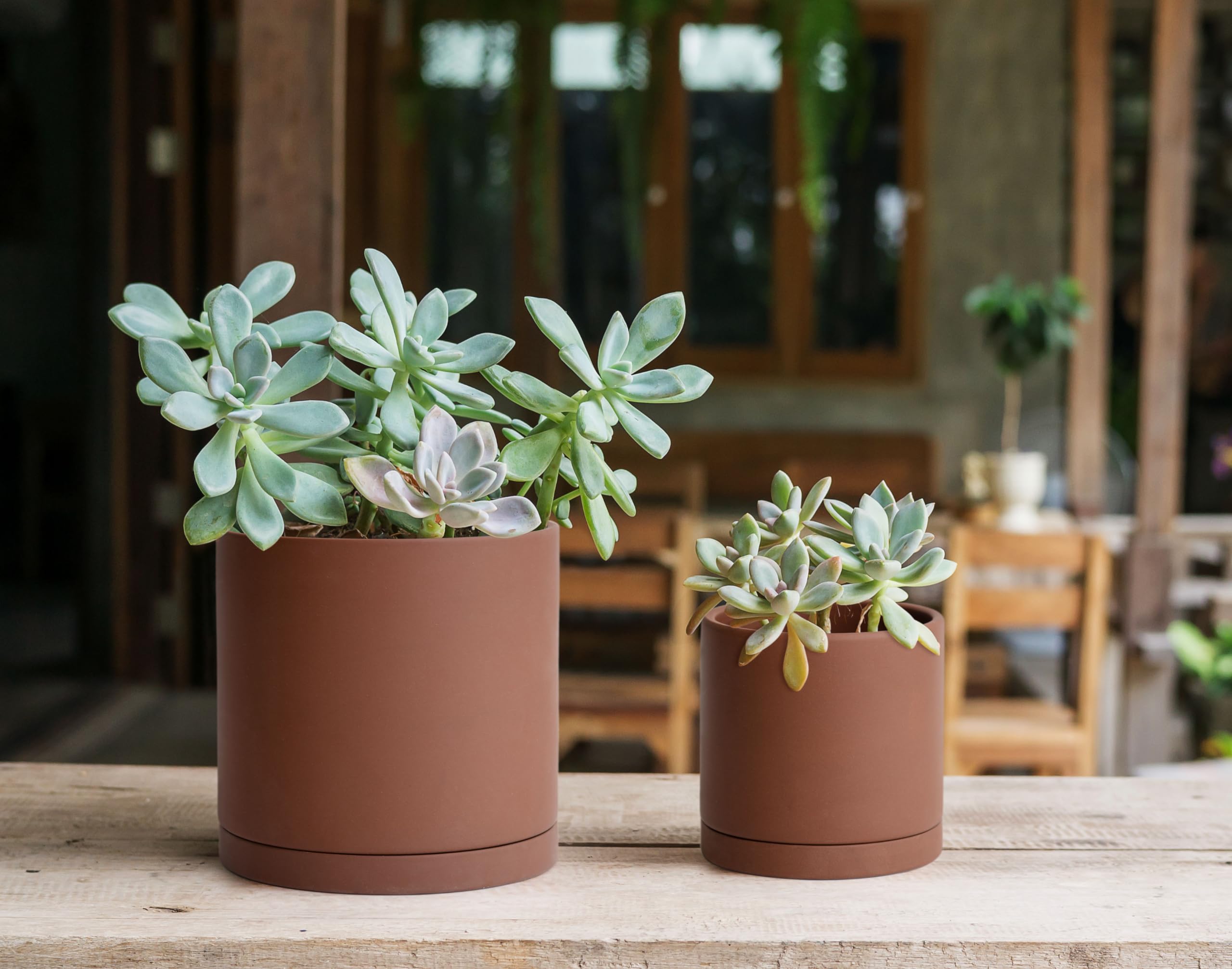 ガーデニング　鉢　テラコッタ オレンジイラスト付きテラコッタ鉢10個セット ガーデニング 盆栽