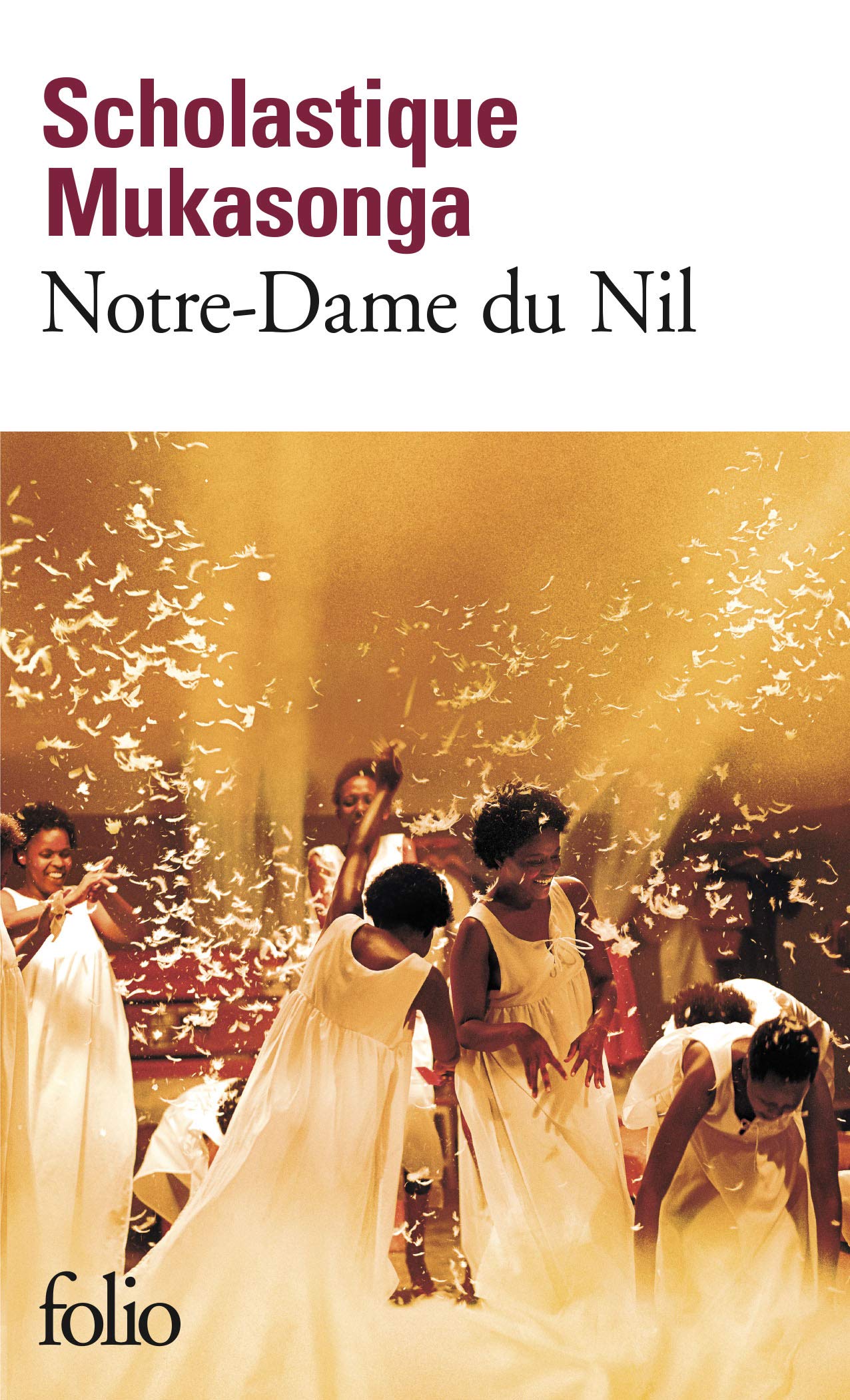 Notre-Dame du Nil: Roman