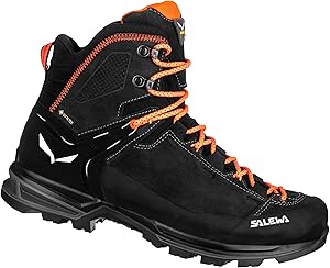 Salewa Mountain Trainer 2 GTX