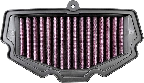 AHL Filtro de aire para KAWASAKI VERSYS 650 ABS 2015 2016 2017 2018 2019 / EX650 Ninja 650 2017 2018 2019 2020 / EX650 Ninja 650 ABS 2017 2018 2020